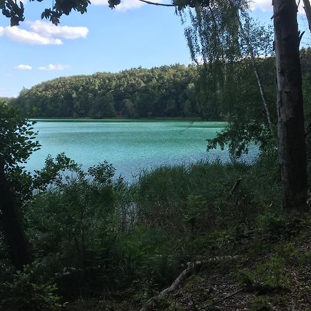 Вілла Agroturystyka "Zielone Zacisze" Лагув Екстер'єр фото