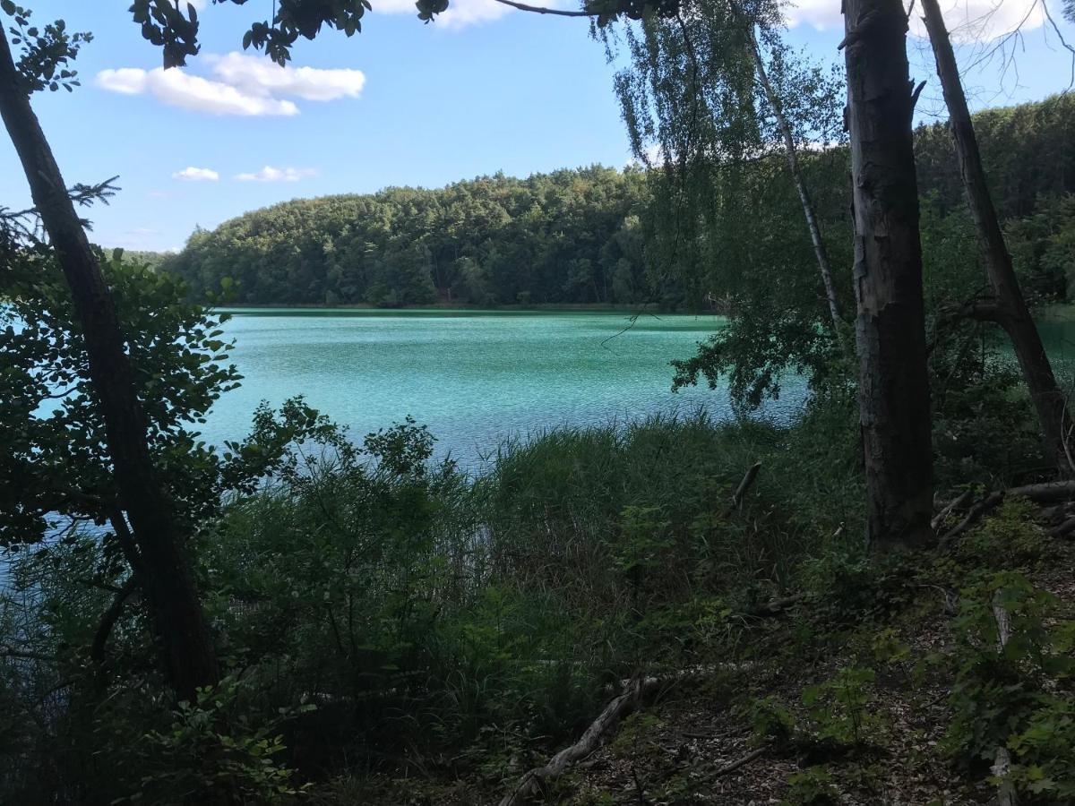 Вілла Agroturystyka "Zielone Zacisze" Лагув Екстер'єр фото